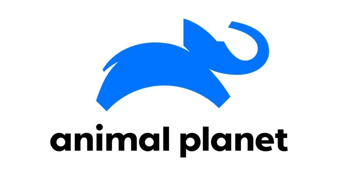 Official logo of the channel, Animal Planet