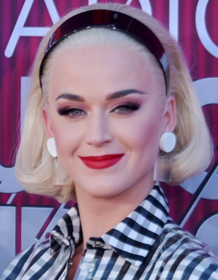 The Year of Katy Perry
