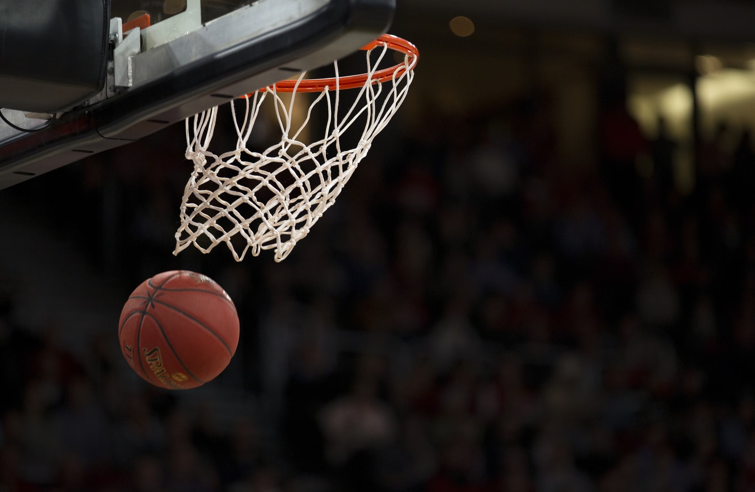 A Guide To Winning On The Basketball Betting Line