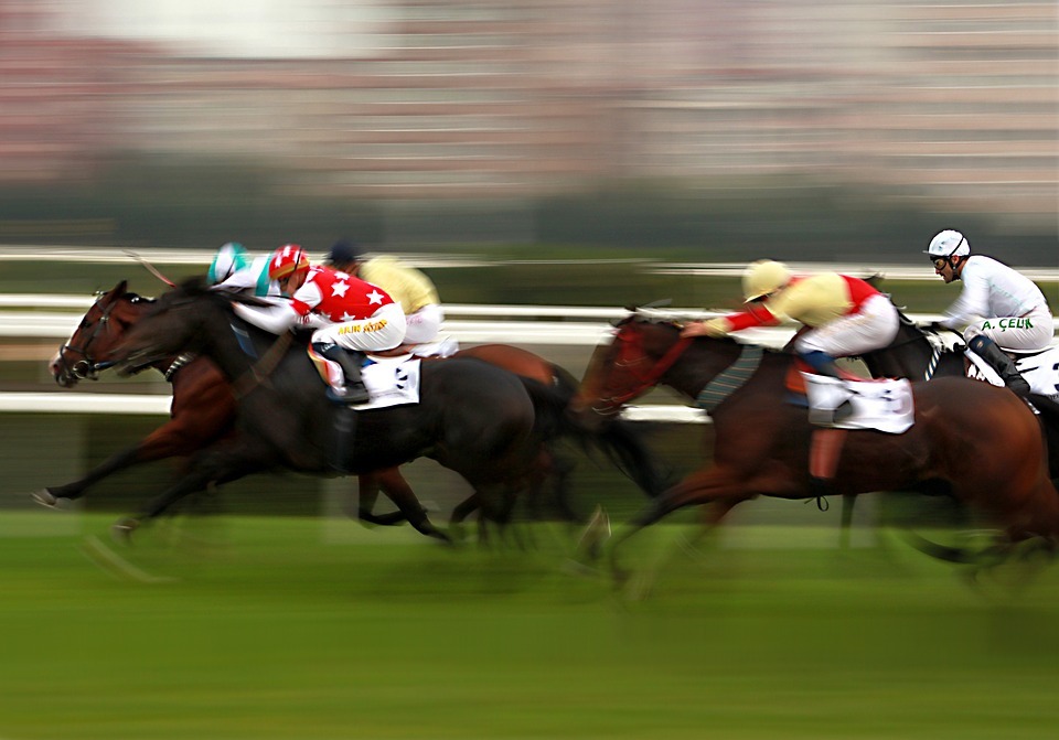 Betting Basics for Horse Racing
