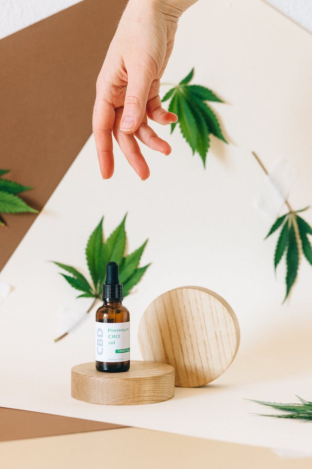 CBD And Musicians: How CBD’s Calming Effects Can Inspire Artists