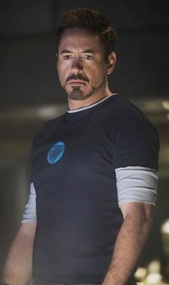 Robert Downey Jr. played the role of Iron Man. 