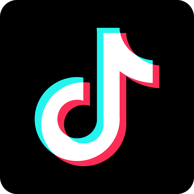 What Is the Hard Knock Life TikTok Trend?
