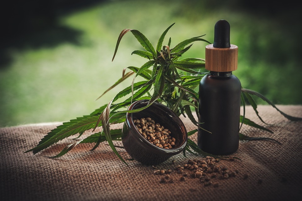 What's the Main Difference Between CBD and THC