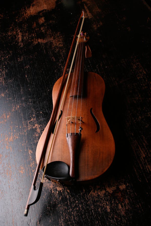 All You Need to Know Before Learning the Cello