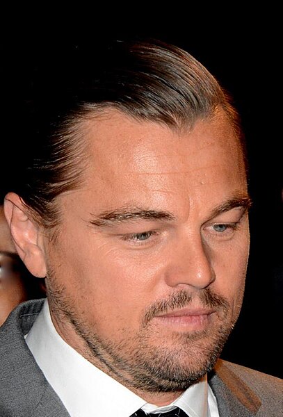 DiCaprio at the French premiere of The Revenant in 2016