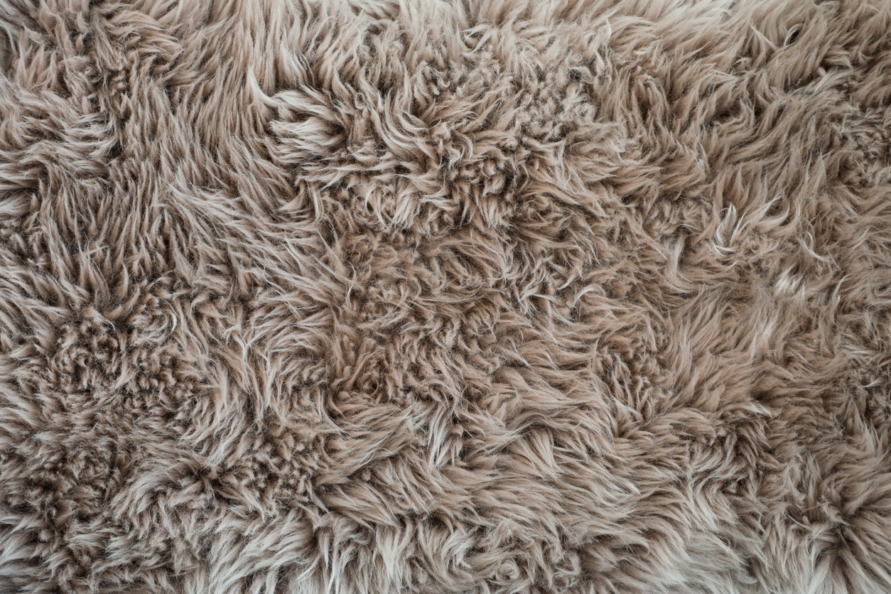 shag rug closeup