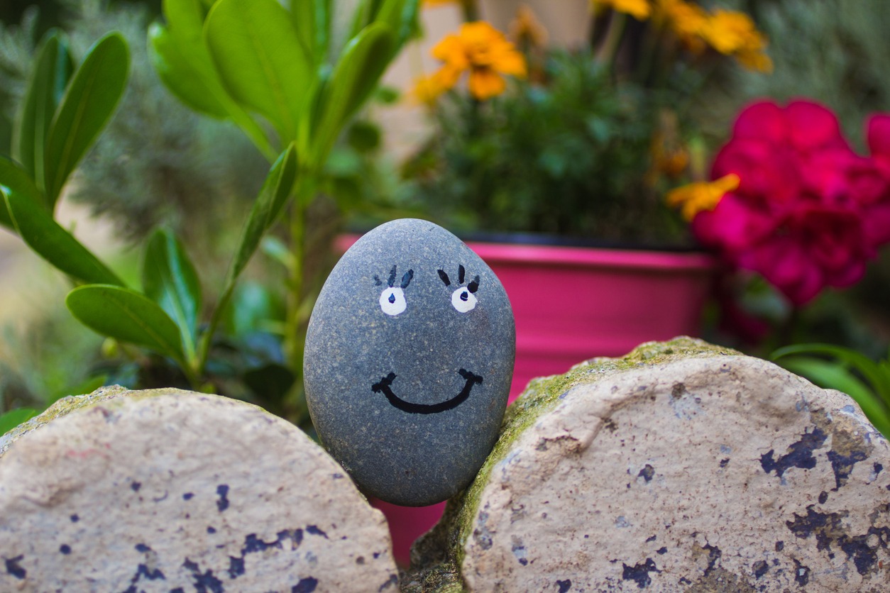 Pet Rock with a smiley face