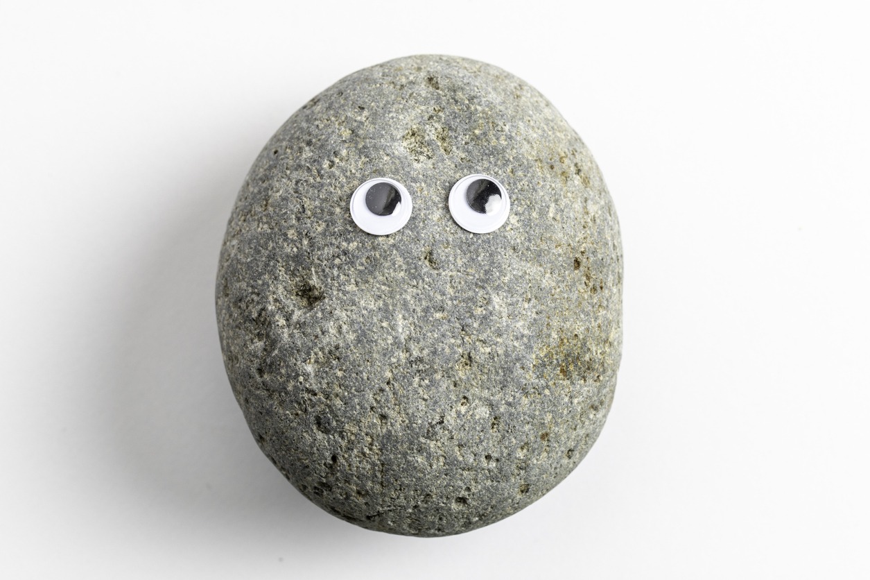 Pet Rock with googly eyes
