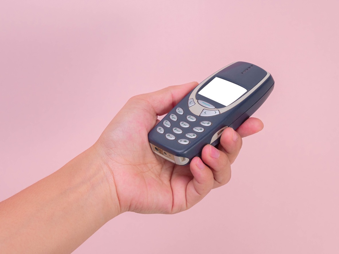 a person holding a Nokia 3310